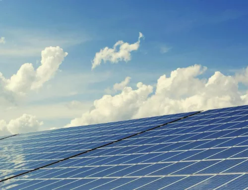 Panneaux solaires en entreprise : quelles subventions en 2025 ?