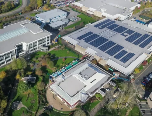 Solaire pour les entreprises : solaire thermique, PVT ou photovoltaïque, quelles différences ?